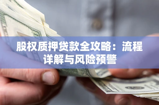 武汉股权质押贷款全攻略：流程详解与风险预警
