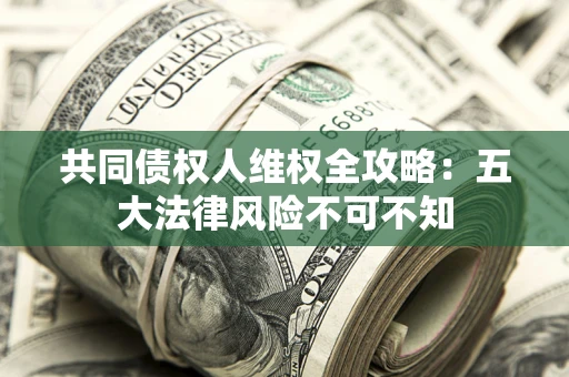 武汉共同债权人维权全攻略：五大法律风险不可不知