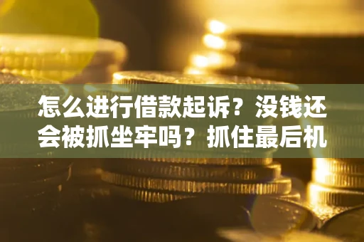 武汉怎么进行借款起诉？没钱还会被抓坐牢吗？抓住最后机会！