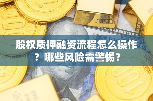 武汉股权质押融资流程怎么操作？哪些风险需警惕？