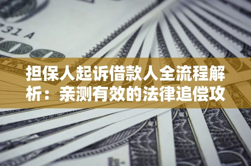 武汉担保人起诉借款人全流程解析：亲测有效的法律追偿攻略