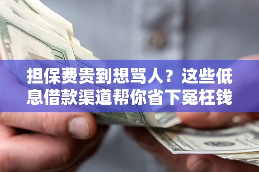 武汉担保费贵到想骂人？这些低息借款渠道帮你省下冤枉钱