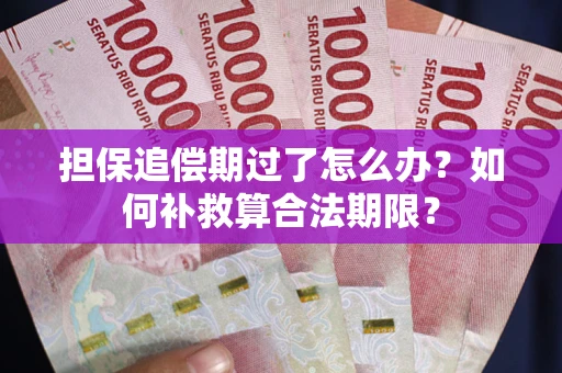 武汉担保追偿期过了怎么办？如何补救算合法期限？