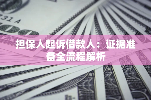 武汉担保人起诉借款人：证据准备全流程解析
