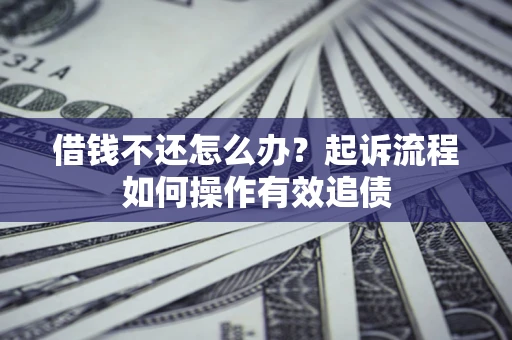 武汉借钱不还怎么办？起诉流程如何操作有效追债