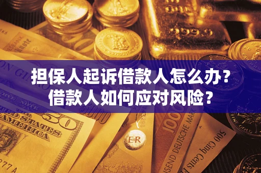 武汉担保人起诉借款人怎么办？借款人如何应对风险？