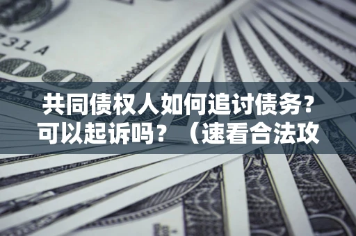 武汉共同债权人如何追讨债务？可以起诉吗？（速看合法攻略）