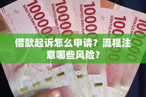 武汉借款起诉怎么申请？流程注意哪些风险？