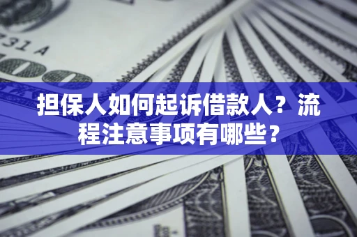 武汉担保人如何起诉借款人？流程注意事项有哪些？